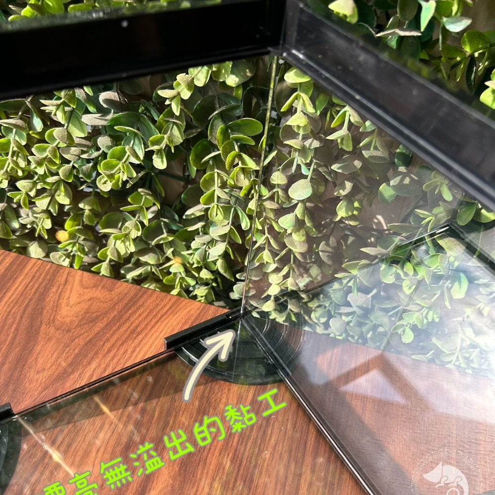 蛋叔叔-PZ-多功能玻璃缸(方形)/爬蟲箱/寵物箱/寵物缸/守宮缸/角蛙缸/蠑螈缸/蠍子/蜘蛛/球蟒/甲蟲/麝香龜/六角-細節圖6