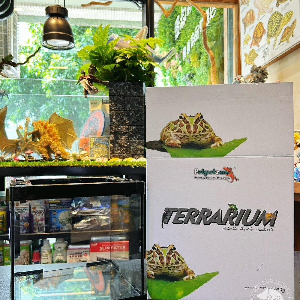 蛋叔叔-PZ-多功能玻璃缸(方形)/爬蟲箱/寵物箱/寵物缸/守宮缸/角蛙缸/蠑螈缸/蠍子/蜘蛛/球蟒/甲蟲/麝香龜/六角-細節圖9