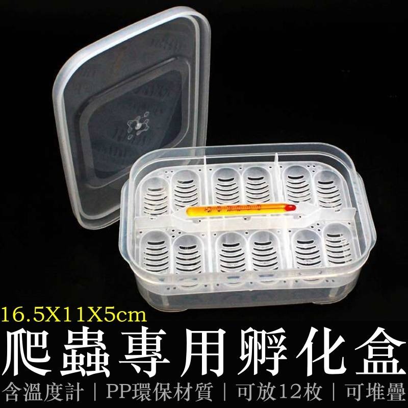 蛋叔叔-NOMO-12蛋位孵蛋盒/孵蛋箱/產卵/孵化/繁殖/工作室/守宮繁殖/肥尾守宮/繁殖季/玉米蛇/鬆獅蜥-細節圖2