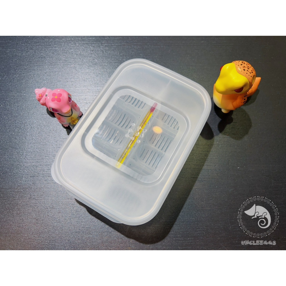 蛋叔叔-NOMO-12蛋位孵蛋盒/孵蛋箱/產卵/孵化/繁殖/工作室/守宮繁殖/肥尾守宮/繁殖季/玉米蛇/鬆獅蜥-細節圖4