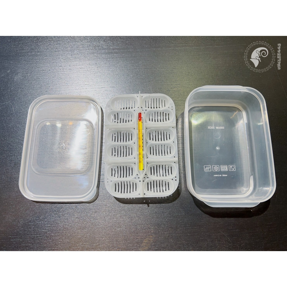 蛋叔叔-NOMO-12蛋位孵蛋盒/孵蛋箱/產卵/孵化/繁殖/工作室/守宮繁殖/肥尾守宮/繁殖季/玉米蛇/鬆獅蜥-細節圖5