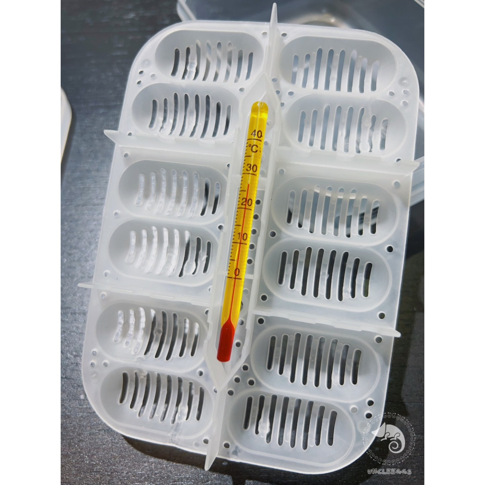 蛋叔叔-NOMO-12蛋位孵蛋盒/孵蛋箱/產卵/孵化/繁殖/工作室/守宮繁殖/肥尾守宮/繁殖季/玉米蛇/鬆獅蜥-細節圖6