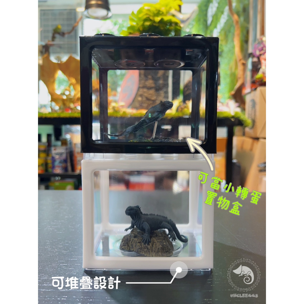 蛋叔叔-積木鬥魚盒/鬥魚缸/魚缸/迷你缸/袖珍缸/積木盒/螯蝦/轉蛋/收藏盒/堆疊盒/展示盒/收藏箱/飾品擺放/收藏-細節圖3