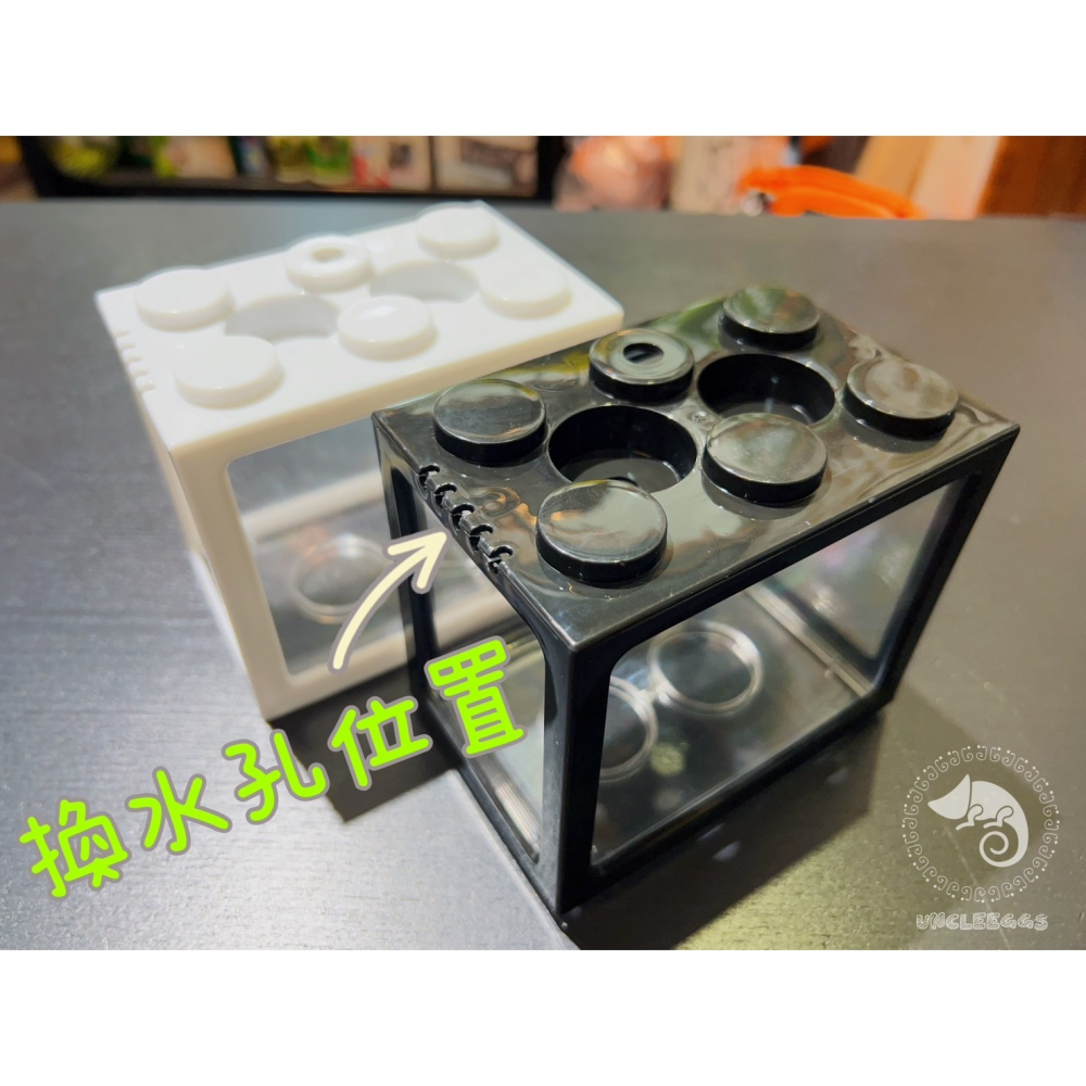 蛋叔叔-積木鬥魚盒/鬥魚缸/魚缸/迷你缸/袖珍缸/積木盒/螯蝦/轉蛋/收藏盒/堆疊盒/展示盒/收藏箱/飾品擺放/收藏-細節圖4