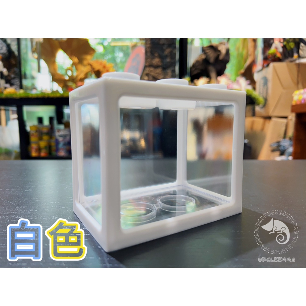 蛋叔叔-積木鬥魚盒/鬥魚缸/魚缸/迷你缸/袖珍缸/積木盒/螯蝦/轉蛋/收藏盒/堆疊盒/展示盒/收藏箱/飾品擺放/收藏-細節圖6