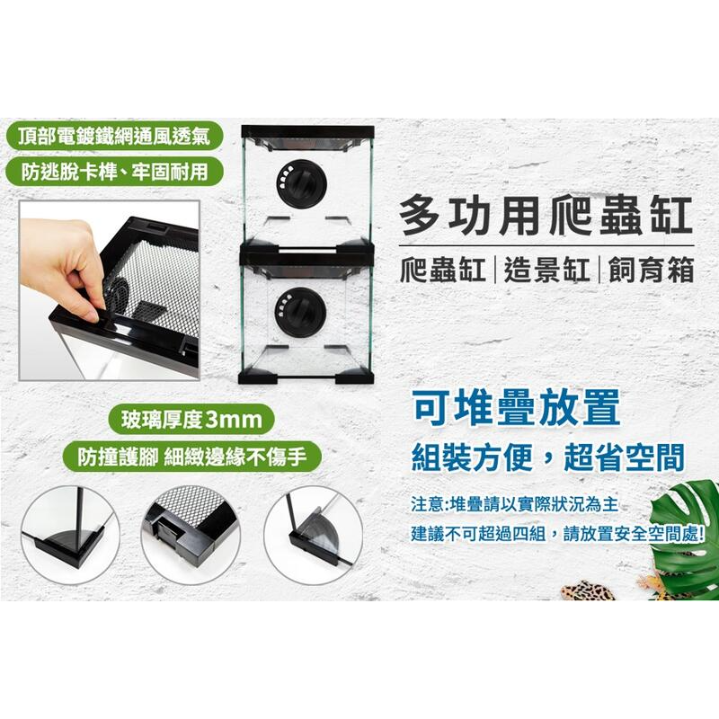 蛋叔叔-PZ-多功能玻璃缸(長方形)/爬蟲箱/寵物箱/寵物缸/雨林缸/樹棲型/巨人守宮/睫角守宮/樹蛙/蜘蛛/甲蟲-細節圖2