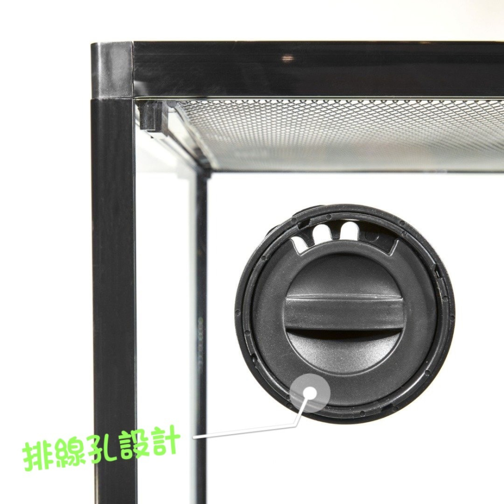 蛋叔叔-PZ-多功能玻璃缸(長方形)/爬蟲箱/寵物箱/寵物缸/雨林缸/樹棲型/巨人守宮/睫角守宮/樹蛙/蜘蛛/甲蟲-細節圖3