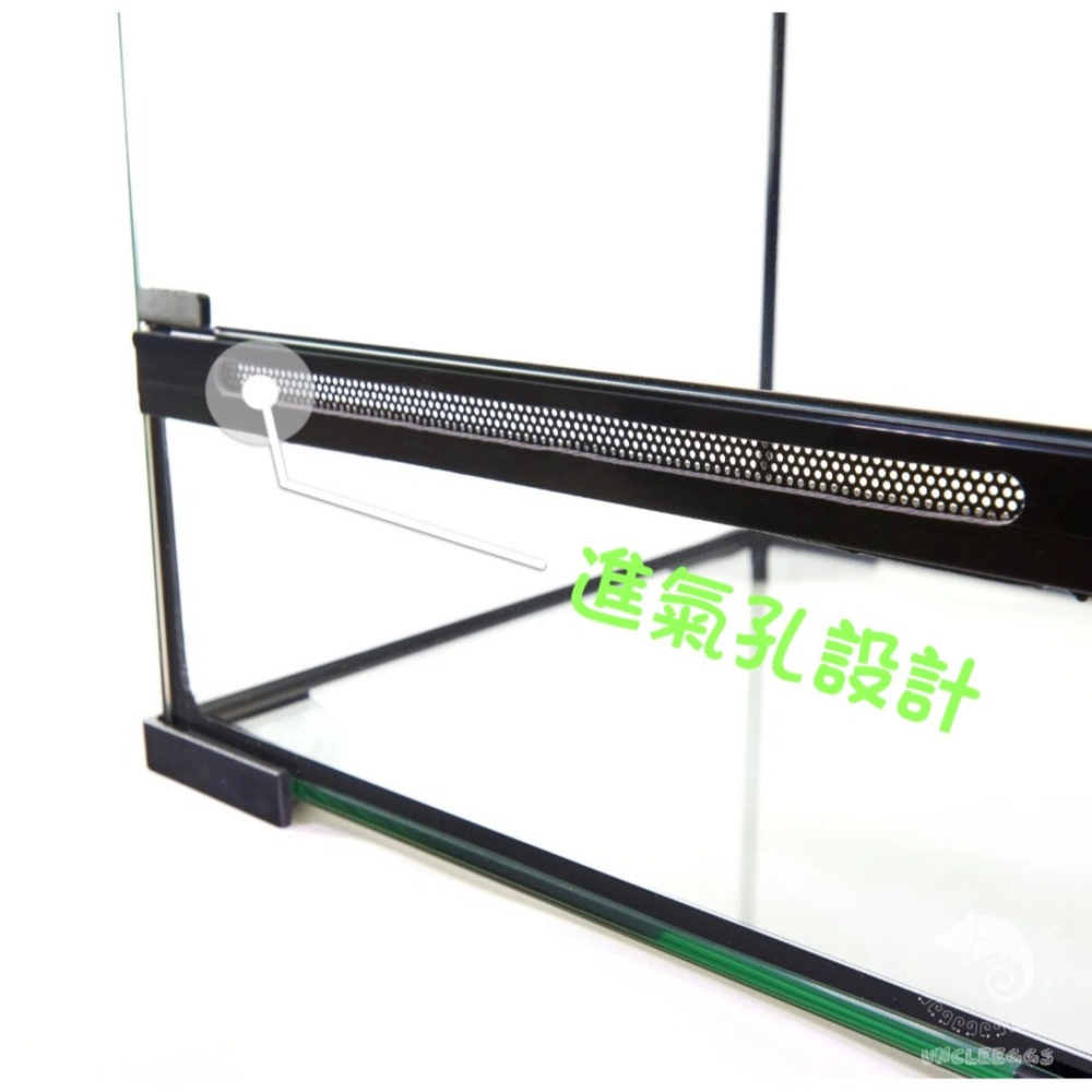 蛋叔叔-PZ-多功能玻璃缸(長方形)/爬蟲箱/寵物箱/寵物缸/雨林缸/樹棲型/巨人守宮/睫角守宮/樹蛙/蜘蛛/甲蟲-細節圖5