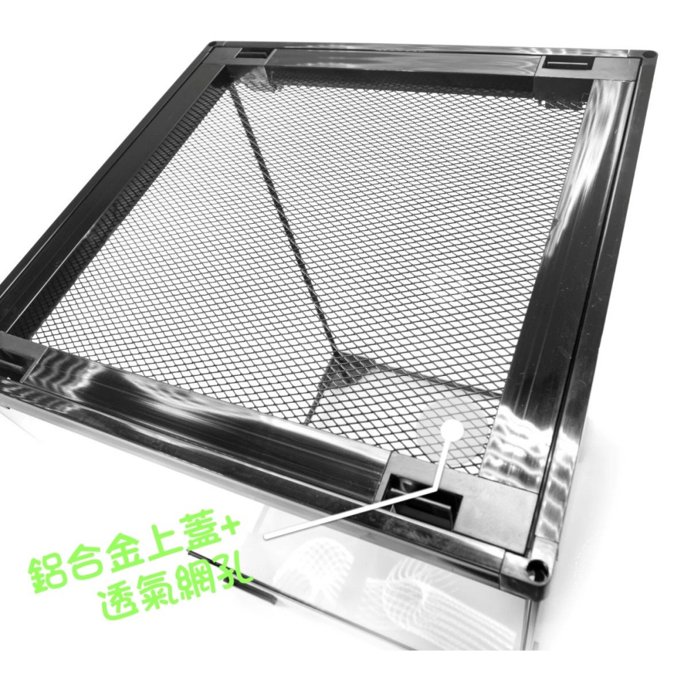 蛋叔叔-PZ-多功能玻璃缸(長方形)/爬蟲箱/寵物箱/寵物缸/雨林缸/樹棲型/巨人守宮/睫角守宮/樹蛙/蜘蛛/甲蟲-細節圖7