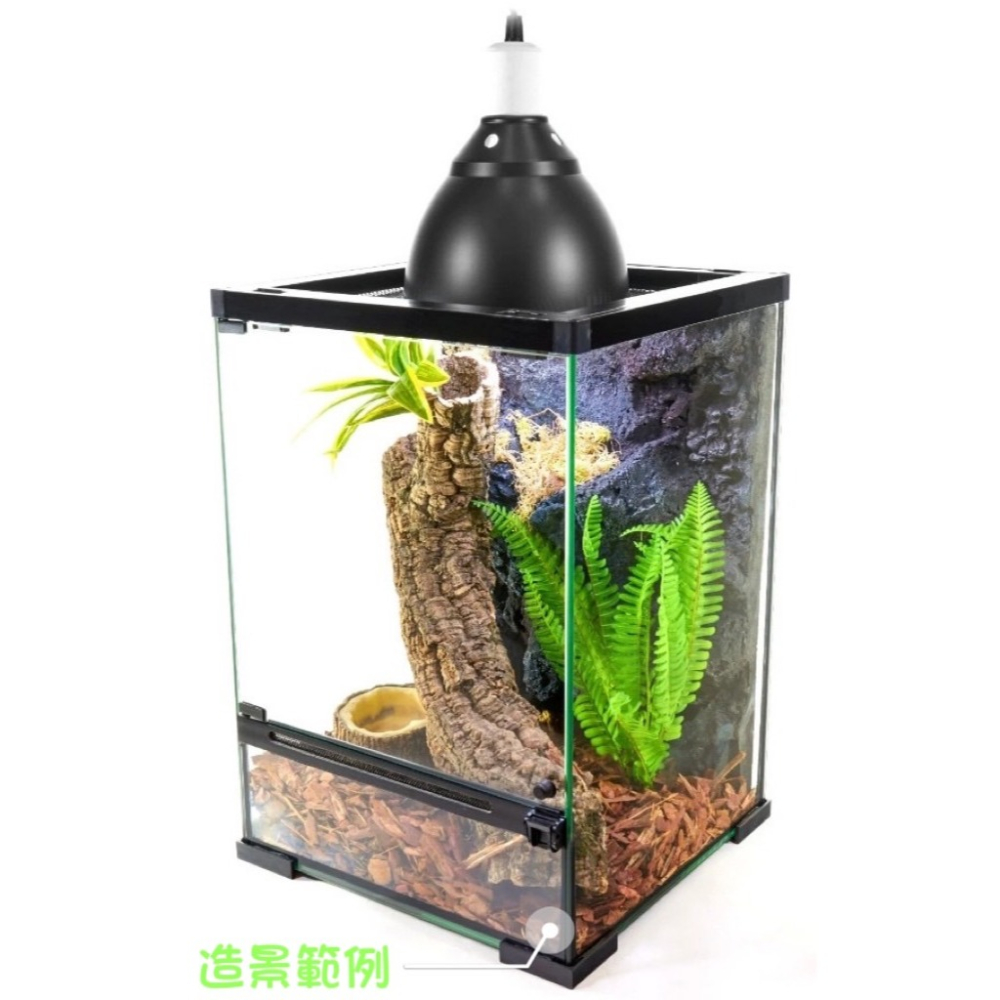 蛋叔叔-PZ-多功能玻璃缸(長方形)/爬蟲箱/寵物箱/寵物缸/雨林缸/樹棲型/巨人守宮/睫角守宮/樹蛙/蜘蛛/甲蟲-細節圖9