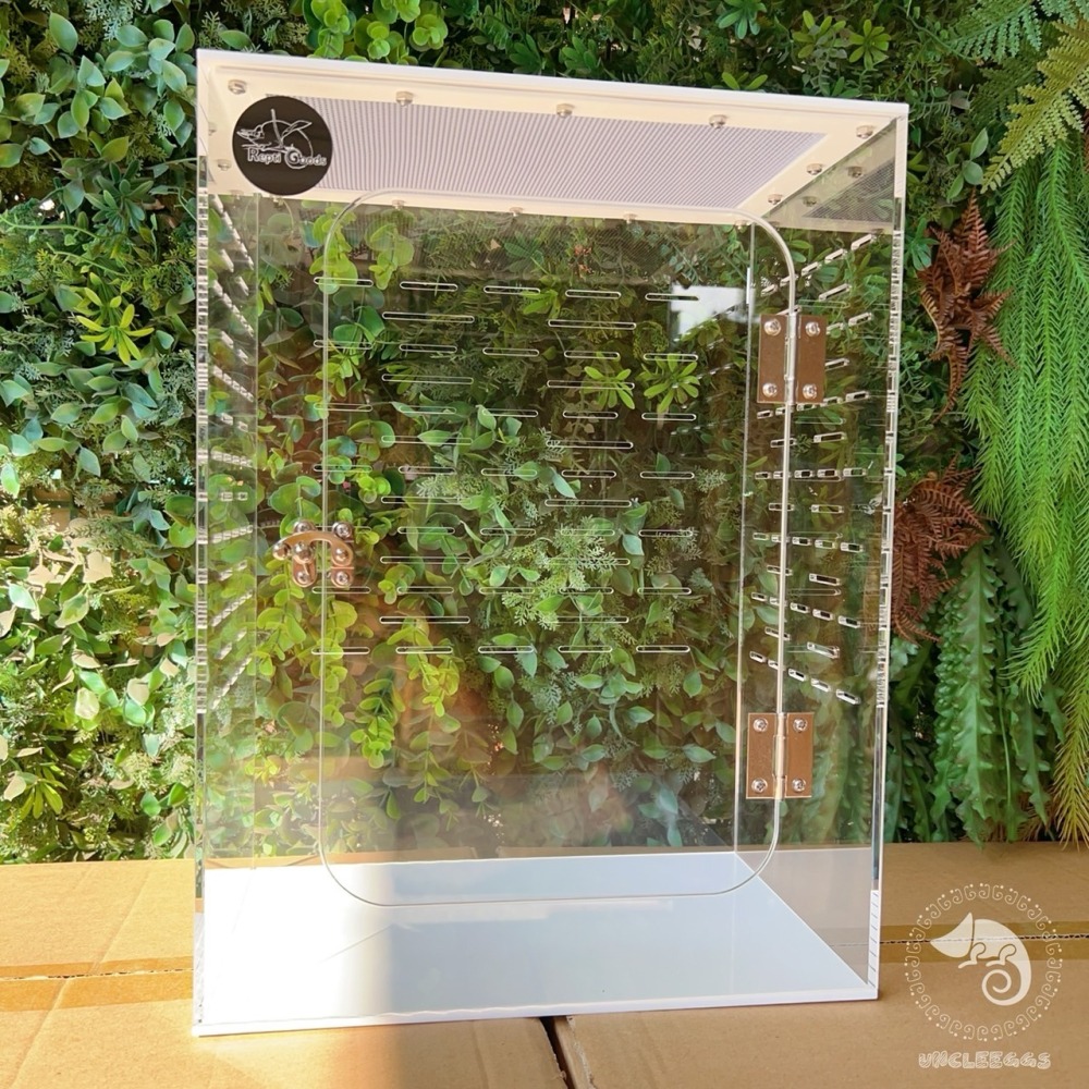 蛋叔叔-ReptiGoods樹棲型壓克力盒/睫角守宮/巨人守宮/寵物箱/爬蟲箱/紅眼樹蛙/變色龍/螳螂/昆蟲箱-細節圖2