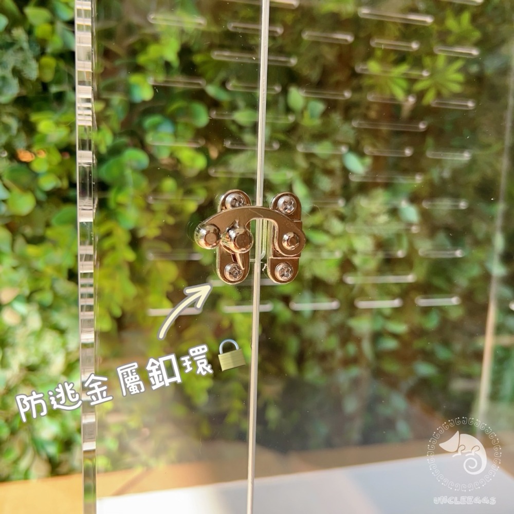 蛋叔叔-ReptiGoods樹棲型壓克力盒/睫角守宮/巨人守宮/寵物箱/爬蟲箱/紅眼樹蛙/變色龍/螳螂/昆蟲箱-細節圖3