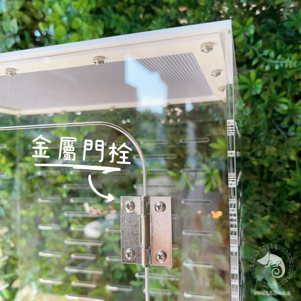 蛋叔叔-ReptiGoods樹棲型壓克力盒/睫角守宮/巨人守宮/寵物箱/爬蟲箱/紅眼樹蛙/變色龍/螳螂/昆蟲箱-細節圖4
