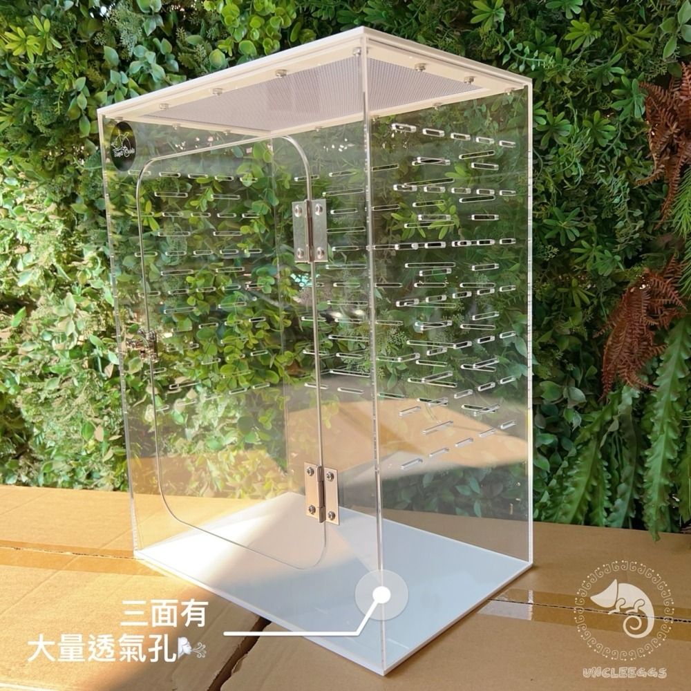 蛋叔叔-ReptiGoods樹棲型壓克力盒/睫角守宮/巨人守宮/寵物箱/爬蟲箱/紅眼樹蛙/變色龍/螳螂/昆蟲箱-細節圖6