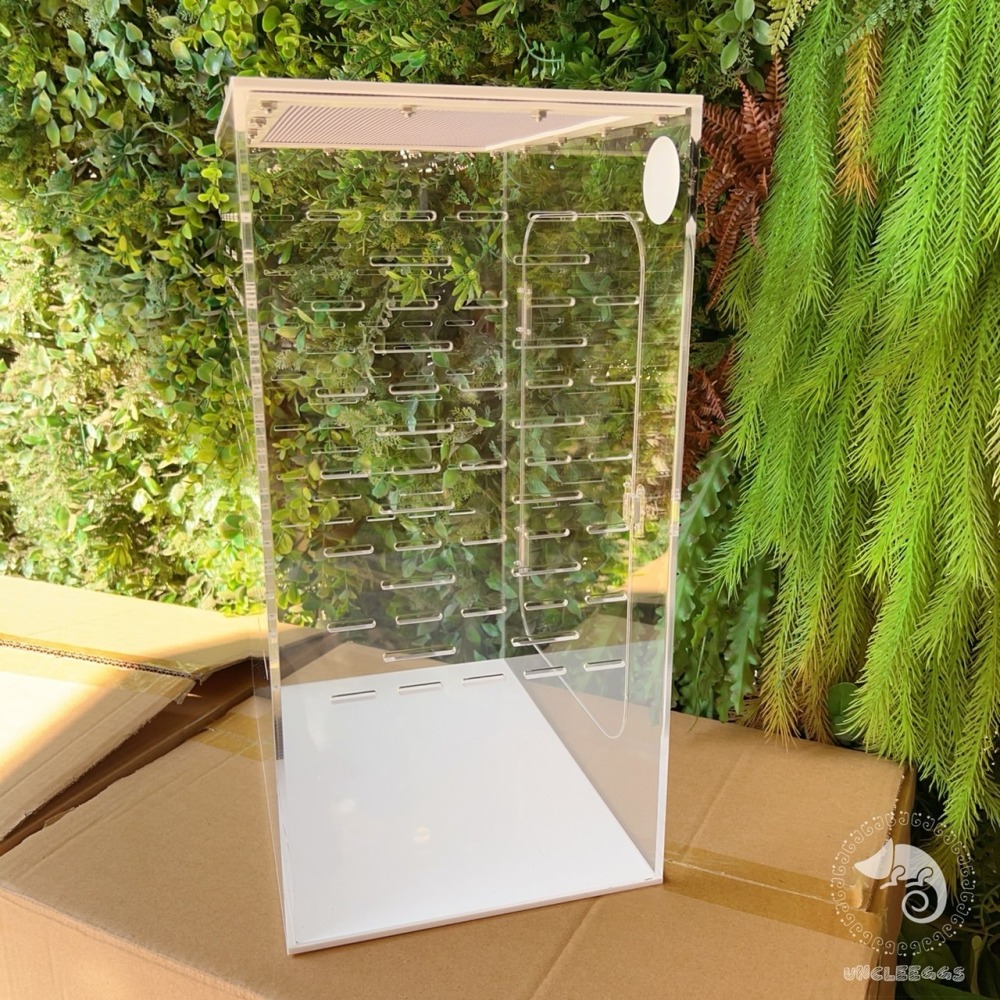 蛋叔叔-ReptiGoods樹棲型壓克力盒/睫角守宮/巨人守宮/寵物箱/爬蟲箱/紅眼樹蛙/變色龍/螳螂/昆蟲箱-細節圖7