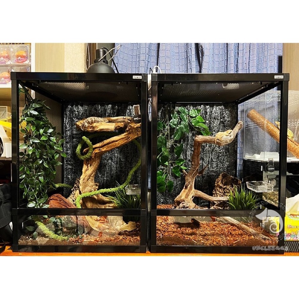 蛋叔叔【免運費】DIY鋁框全玻璃寵物爬蟲缸/爬蟲箱/寵物箱/寵物缸/鬆獅蜥/陸龜/刺蝟/巨蜥/變色龍/蜜袋鼯/倉鼠/球蟒-細節圖9
