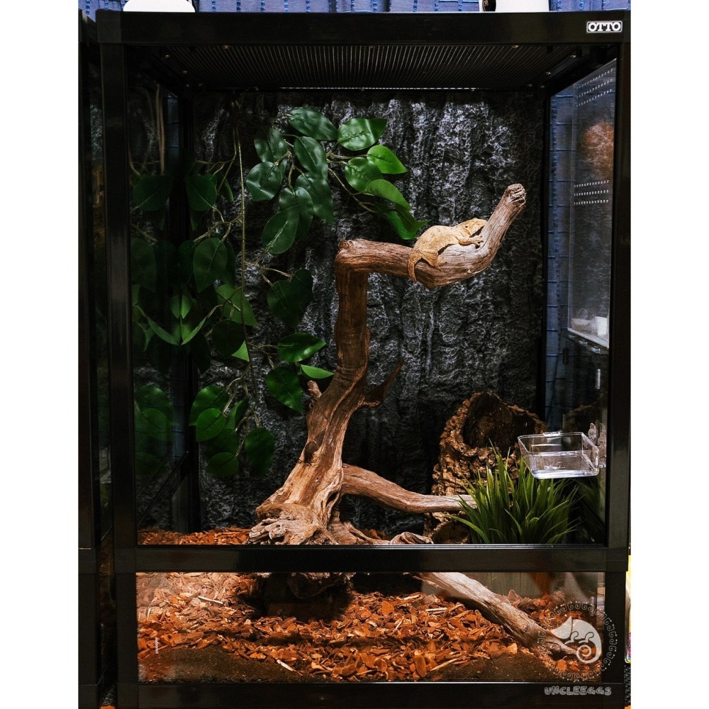 蛋叔叔【免運費】DIY鋁框全玻璃寵物爬蟲缸/爬蟲箱/寵物箱/寵物缸/鬆獅蜥/陸龜/刺蝟/巨蜥/變色龍/蜜袋鼯/倉鼠/球蟒-細節圖10