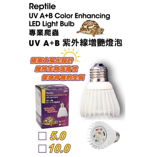 蛋叔叔【免運費】ISTA專業爬蟲UVB增豔燈泡/10.0/5.0/雨林型/沙漠型/紫外線燈/UVA/補鈣/鬆獅蜥/陸龜-細節圖5