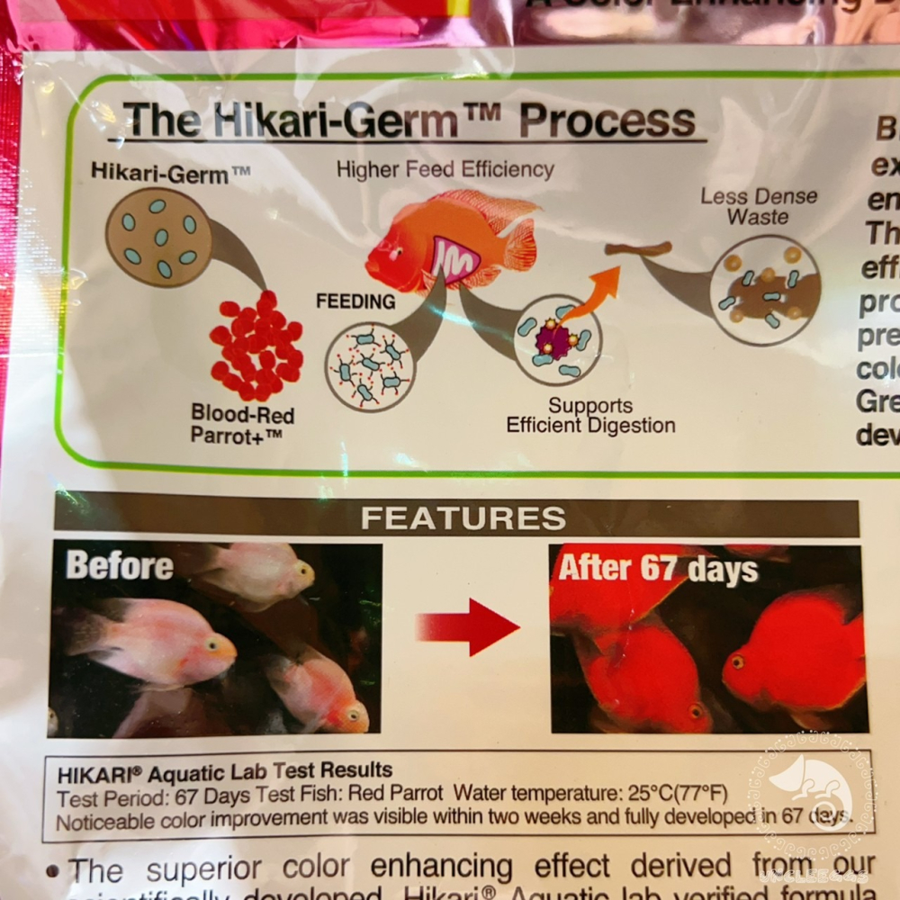 蛋叔叔-Hikari高夠力-血鸚鵡揚色飼料/紫鸚鵡/慈鯛飼料/紫鸚鵡飼料/魚飼料/金魚飼料/艷紅/增豔飼料/龍魚飼料-細節圖6