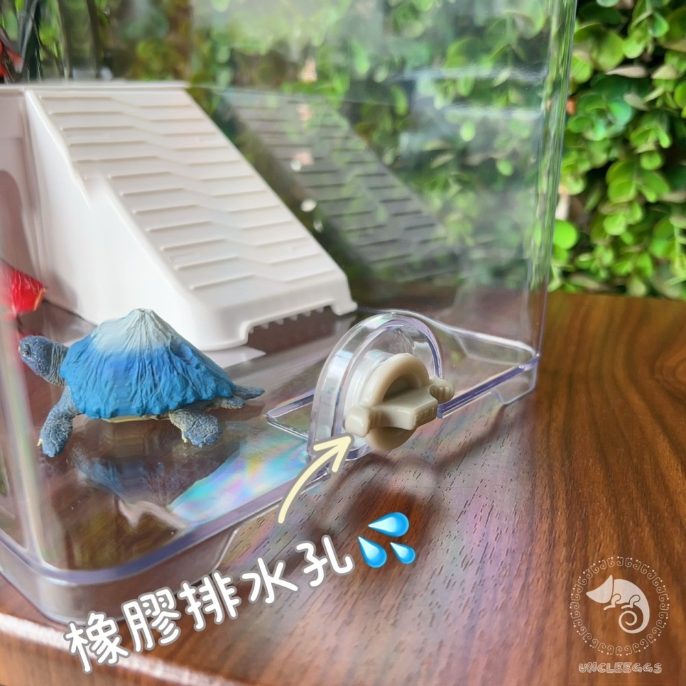 蛋叔叔-爬蟲先生-兩棲水陸烏龜缸/TU200/烏龜套缸/壓克力缸/烏龜缸/地圖龜/屋頂龜/麝香龜/新手缸/巴西龜-細節圖4
