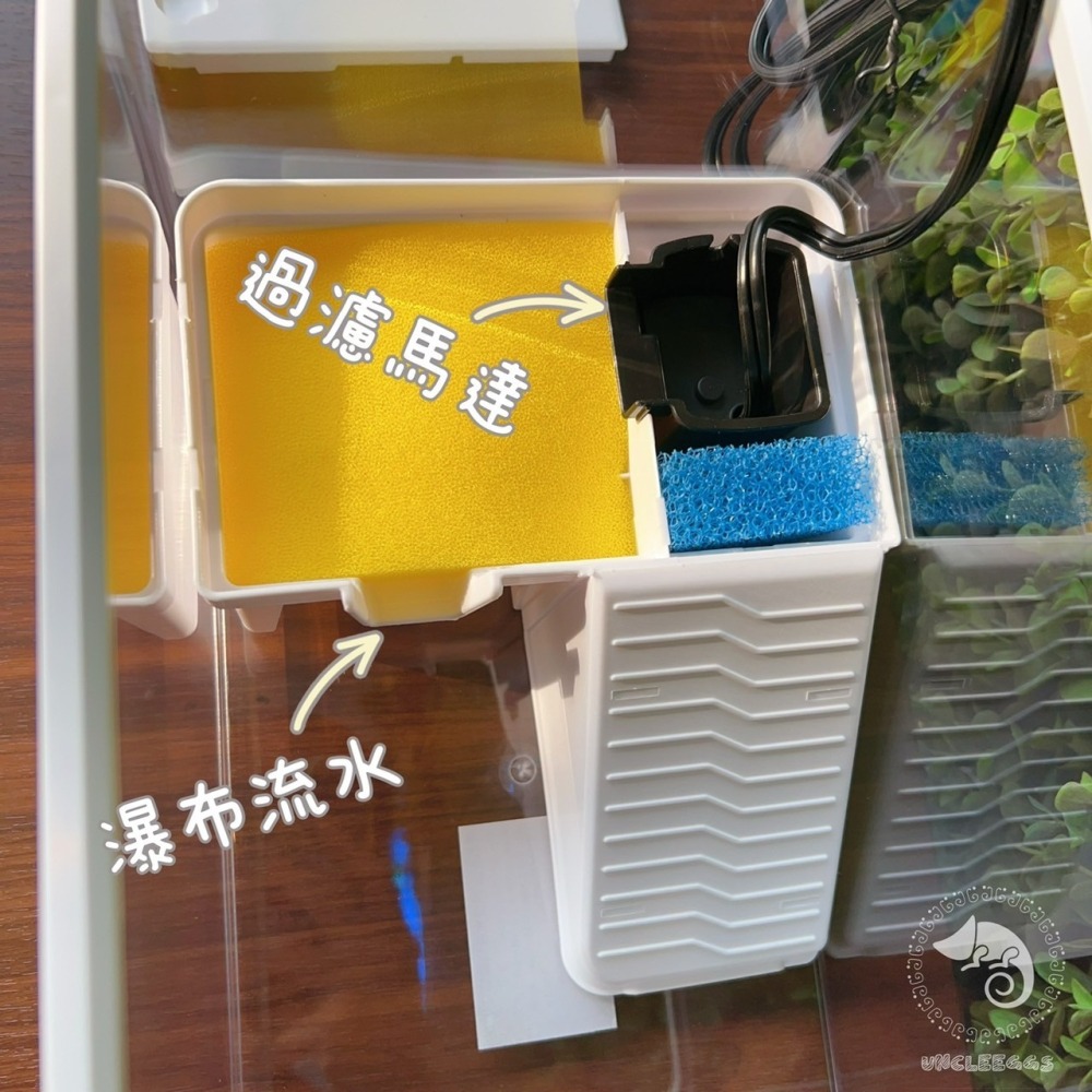 蛋叔叔-爬蟲先生-兩棲水陸烏龜缸/TU200/烏龜套缸/壓克力缸/烏龜缸/地圖龜/屋頂龜/麝香龜/新手缸/巴西龜-細節圖5