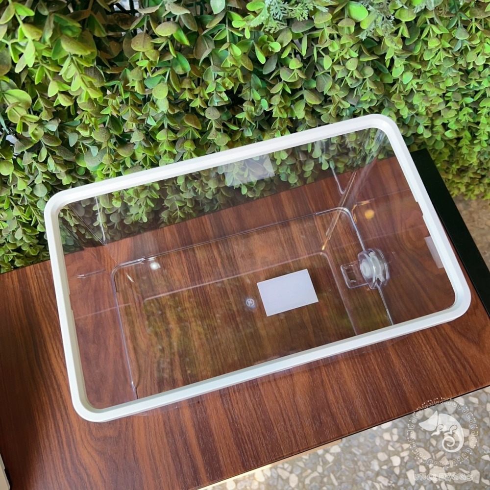 蛋叔叔-爬蟲先生-兩棲水陸烏龜缸/TU200/烏龜套缸/壓克力缸/烏龜缸/地圖龜/屋頂龜/麝香龜/新手缸/巴西龜-細節圖7