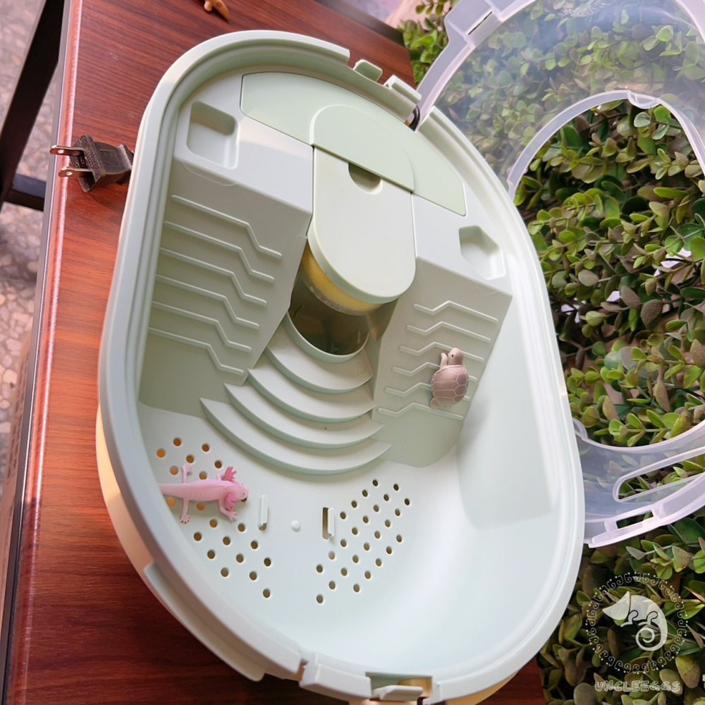 蛋叔叔-爬蟲先生-防逃逸烏龜缸/烏龜套缸/壓克力箱/烏龜套組/烏龜缸/新手缸/巴西龜/地圖龜/屋頂龜/麝香龜/魔鬼蟹-細節圖5