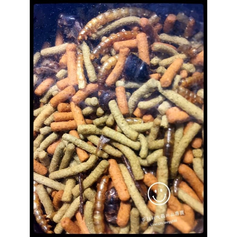 蛋叔叔-德比克Tropical高營養肉食烏龜兩棲爬蟲飼料/蟋蟀/麵包蟲/蜥蜴飼料/鬆獅蜥飼料/藍舌蜥/水龜飼料/箱龜-細節圖2