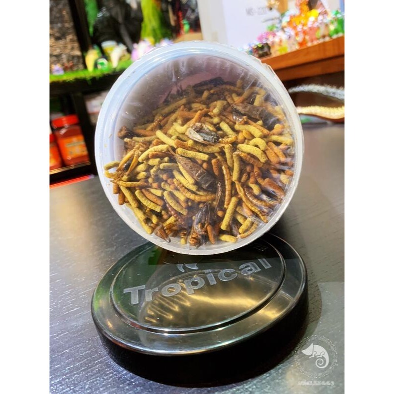 蛋叔叔-德比克Tropical高營養肉食烏龜兩棲爬蟲飼料/蟋蟀/麵包蟲/蜥蜴飼料/鬆獅蜥飼料/藍舌蜥/水龜飼料/箱龜-細節圖4