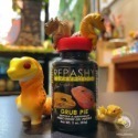蛋叔叔-REPASHY-高蛋白主食/黑水虻/蟲粉/維生素/礦物質/胺基酸/營養粉/鬆獅蜥/肥尾守宮/蜜袋鼯/刺蝟/藍舌蜥-規格圖8