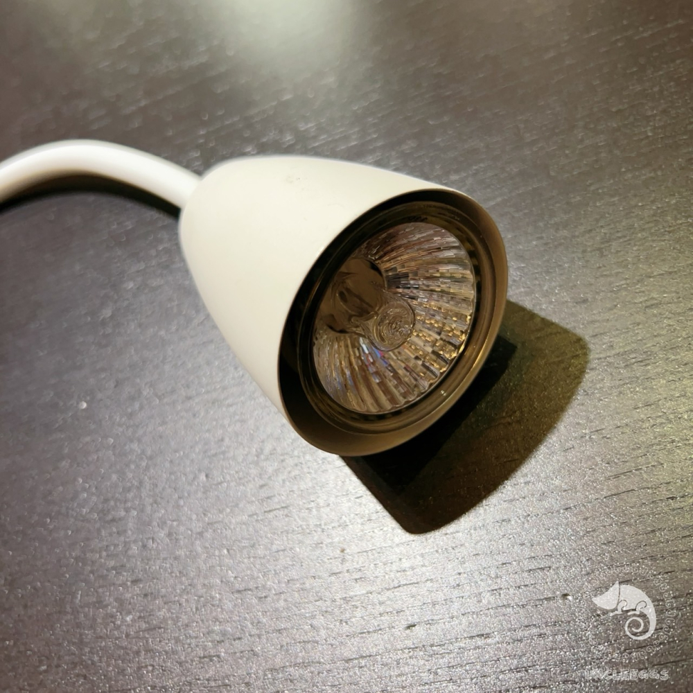 蛋叔叔-SOBO爬蟲曬背燈/松寶/燈罩/燈具/夾燈/加熱/保溫/UVB/加熱燈/曬背燈/加溫燈/補鈣燈/巴西龜/台灣龜-細節圖9