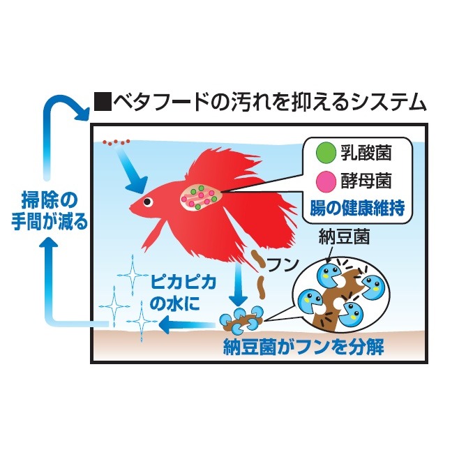 蛋叔叔-GEX-善玉菌鬥魚飼料/鬥魚飼料/雙半月/孔雀魚/魚飼料/小魚飼料/燈科魚飼料/神仙魚飼料/短雕-細節圖4