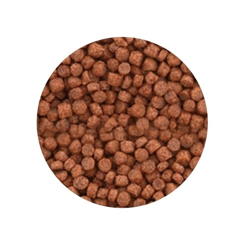 蛋叔叔-GEX-善玉菌鬥魚飼料/鬥魚飼料/雙半月/孔雀魚/魚飼料/小魚飼料/燈科魚飼料/神仙魚飼料/短雕-細節圖7