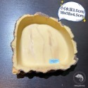 蛋叔叔-大型角落木紋水盤/水盆/食盆/食盤/泡水/水皿/碗/大水盆/角落型/水碗/球蟒/蘇卡達/巨蜥/豹龜/南美蜥/澤巨-規格圖9