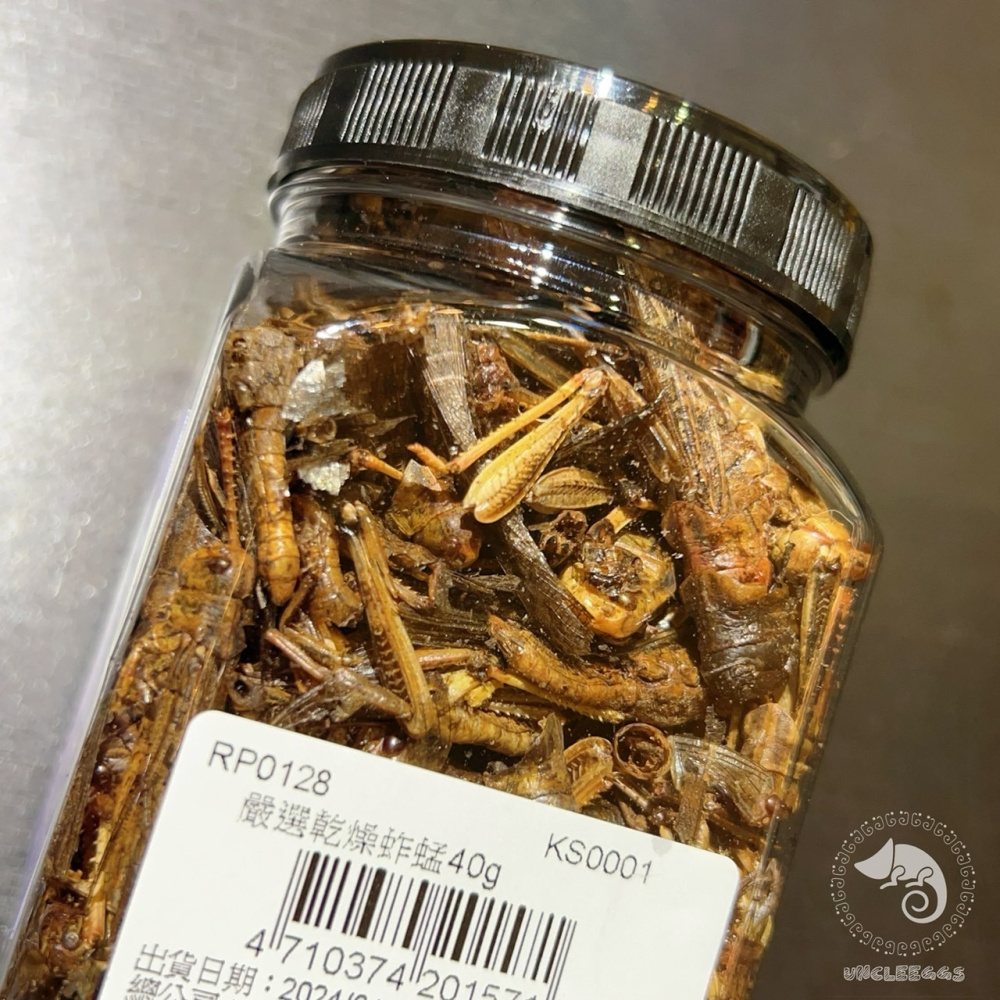 蛋叔叔-維益特-嚴選乾燥蚱蜢40g/蟲乾/蝗蟲乾/蟋蟀/蟲粉/高蛋白/爬蟲零食/鸚鵡零食/蜜袋鼯/乾燥蟲/刺蝟飼料/龜料-細節圖5