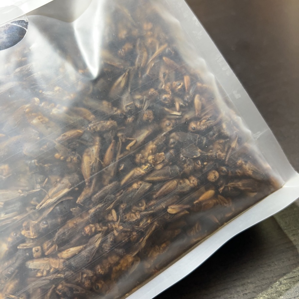 蛋叔叔-維益特-嚴選乾燥蟋蟀50g/蟲乾/蟋蟀/蟲粉/爬蟲零食/鸚鵡零食/蜜袋鼯/乾燥蟲/刺蝟飼料/高蛋白/澤龜飼料-細節圖10