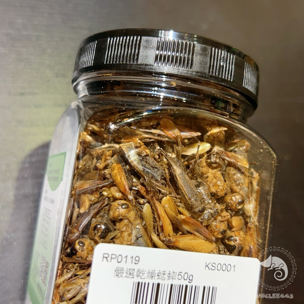 蛋叔叔-維益特-嚴選乾燥蟋蟀50g/蟲乾/蟋蟀/蟲粉/爬蟲零食/鸚鵡零食/蜜袋鼯/乾燥蟲/刺蝟飼料/高蛋白/澤龜飼料-細節圖6