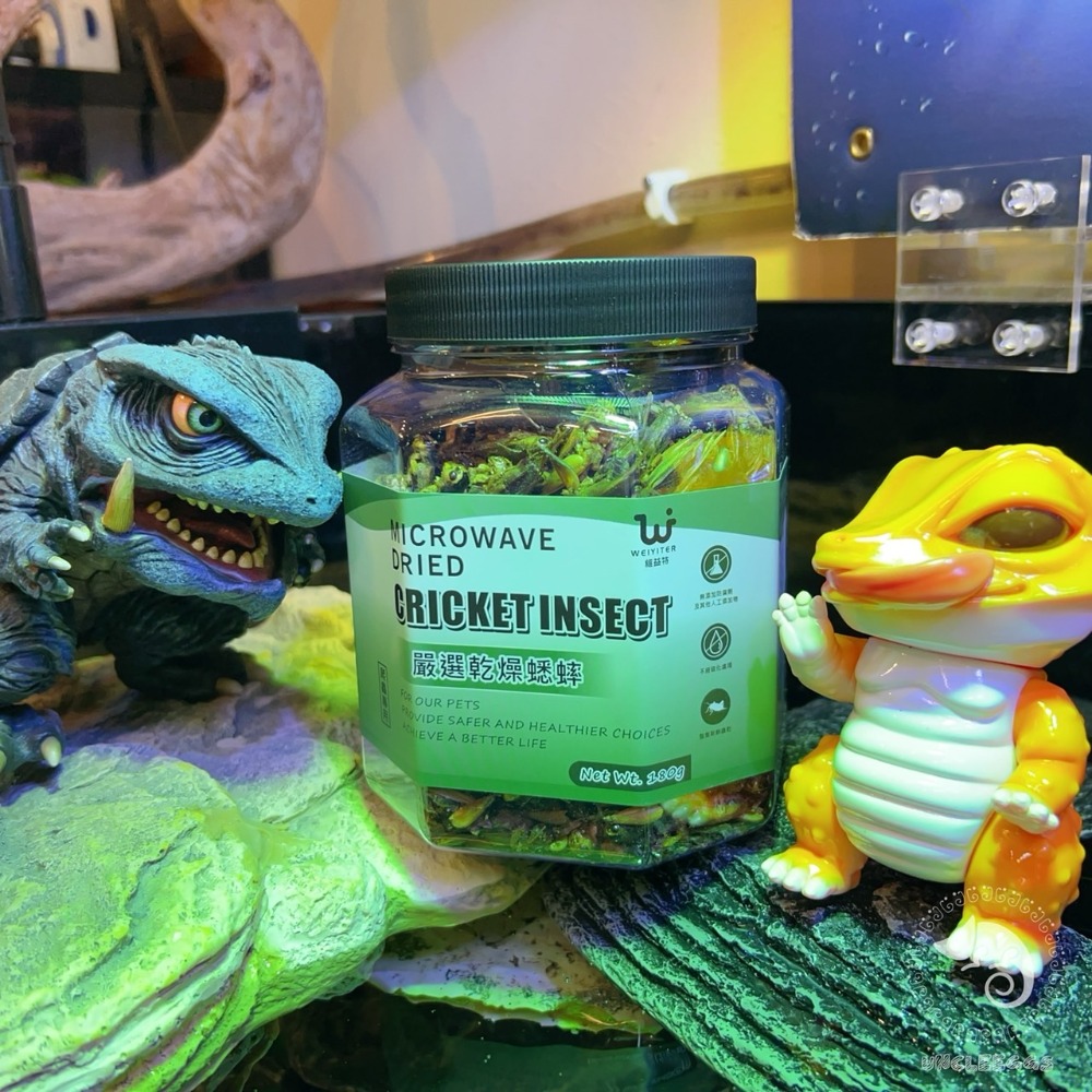 蛋叔叔-維益特-嚴選乾燥蟋蟀50g/蟲乾/蟋蟀/蟲粉/爬蟲零食/鸚鵡零食/蜜袋鼯/乾燥蟲/刺蝟飼料/高蛋白/澤龜飼料-規格圖10