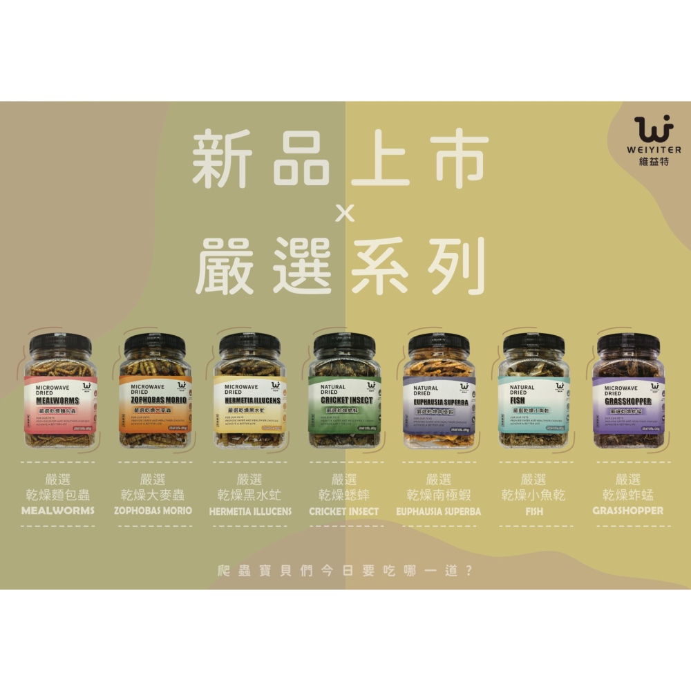 蛋叔叔-維益特-爬蟲補給站/麵包蟲/大麥蟲/黑水虻/蟋蟀/小魚乾/南極蝦/蚱蜢/高蛋白/補鈣/蟲粉/爬蟲零食/龍魚飼料-細節圖9