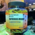 蛋叔叔-維益特-爬蟲大補帖/麵包蟲/大麥蟲/黑水虻/蟋蟀/小魚乾/南極蝦/蚱蜢/高蛋白/補鈣/蟲粉/爬蟲零食/龍魚飼料-規格圖6