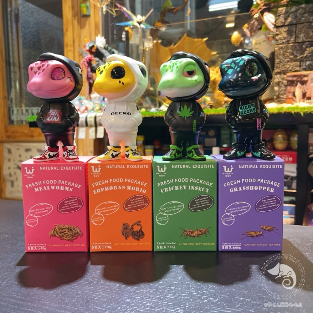 蛋叔叔-維益特-大麥蟲鮮食包/高蛋白/乾燥蟲/肉食/刺蝟飼料/蜜袋鼯飼料/鼠飼料/鸚鵡飼料/大型魚飼料/澤龜飼料-細節圖7