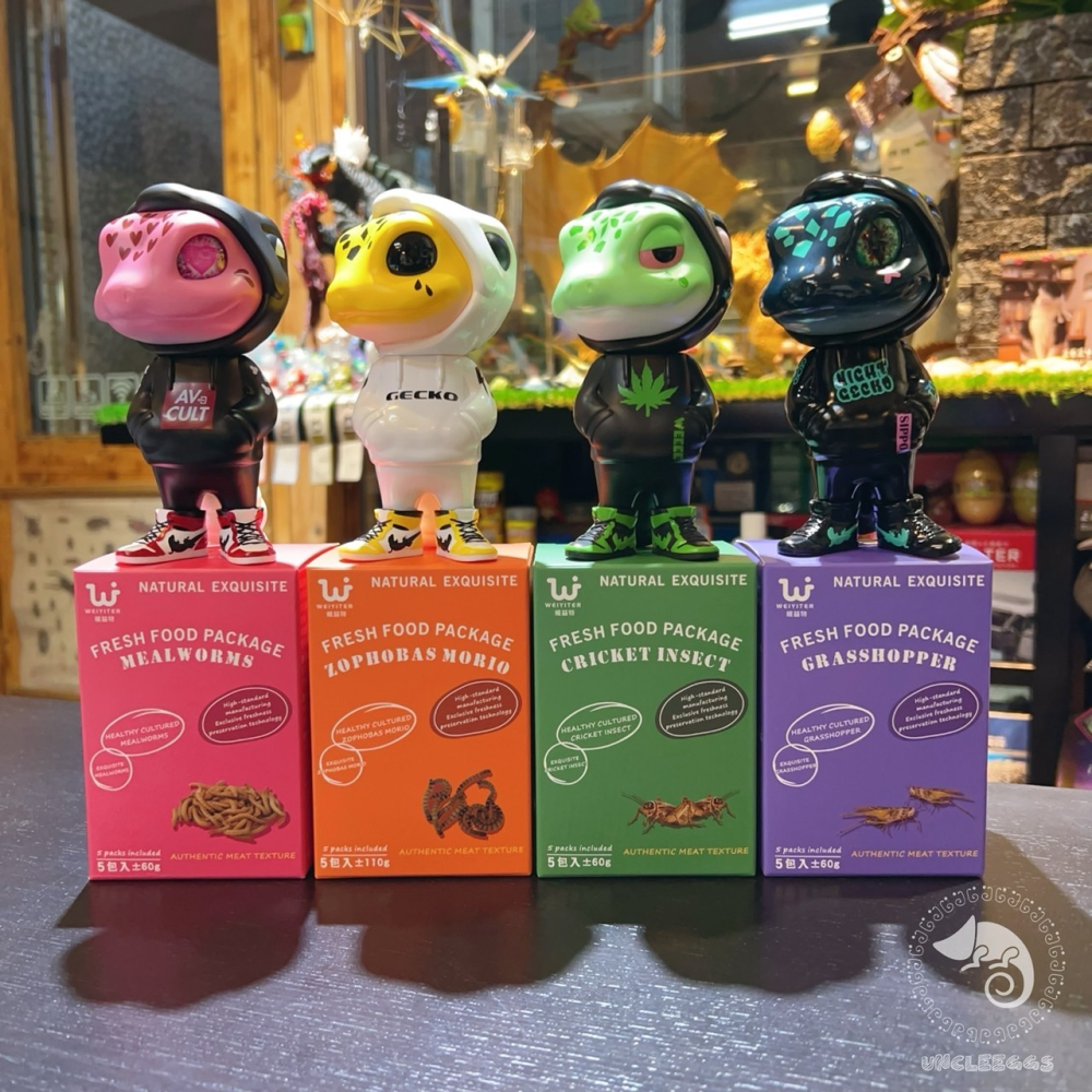 蛋叔叔-維益特-蚱蜢鮮食包/高蛋白/守宮飼料/乾燥蟲/鸚鵡飼料/肉食/刺蝟飼料/蜜袋鼯飼料/鼠飼料/大型魚飼料/澤龜飼料-細節圖7
