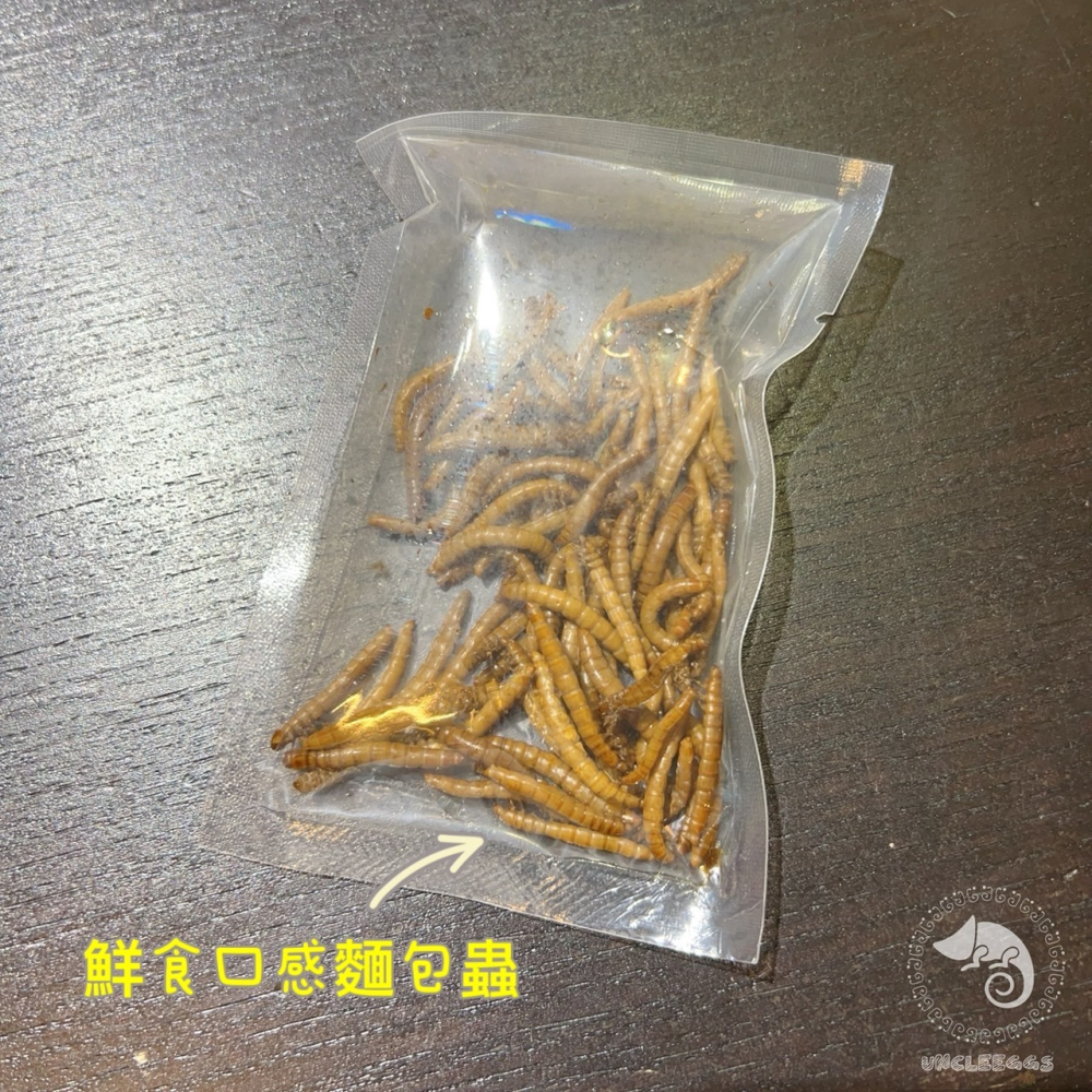 蛋叔叔-維益特-鮮食總匯/高蛋白/麵包蟲/大麥蟲/蟋蟀/蚱蜢/守宮飼料/乾燥蟲/鸚鵡飼料/刺蝟飼料/蜜袋鼯飼料/澤龜飼料-細節圖3