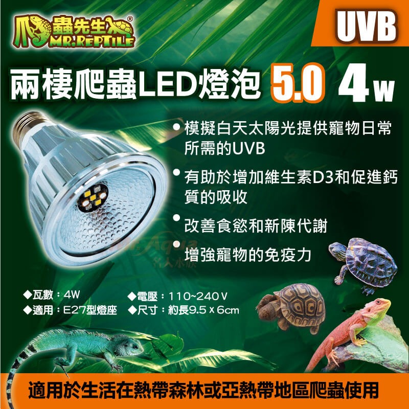 蛋叔叔-爬蟲先生-兩棲爬蟲LED UVB燈泡/5.0/雨林型/補鈣燈/紫外線燈/UVB/樹蛙/增豔/水龜/變色龍-細節圖2