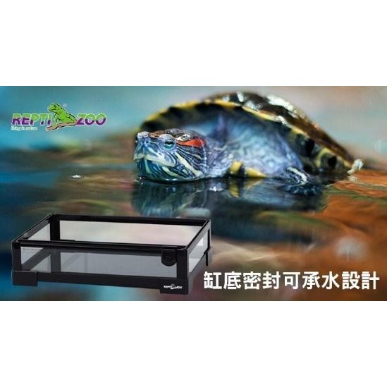 蛋叔叔【免運費】REPTIZOO-玻璃爬蟲箱30cm/ARK0102NS/高缸單門/爬蟲缸/爬缸/雨林缸/高缸/睫角守宮-細節圖3