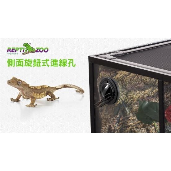 蛋叔叔【免運費】REPTIZOO-玻璃爬蟲箱30cm/ARK0102NS/高缸單門/爬蟲缸/爬缸/雨林缸/高缸/睫角守宮-細節圖4