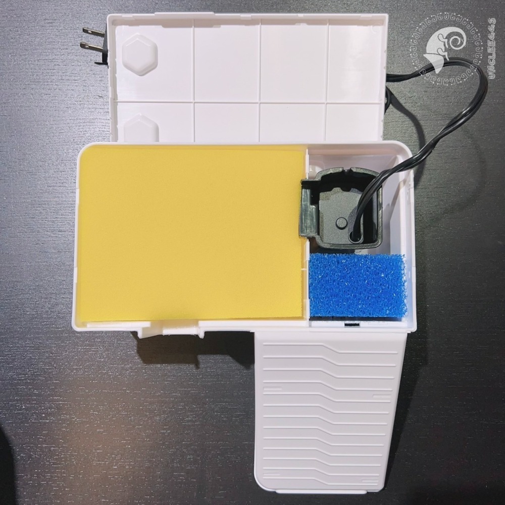 蛋叔叔-爬蟲先生-過濾式烏龜島/曬台/浮台/烏龜島/巴西龜/台灣龜/地圖龜/假鱷/麝香龜/巴西火龍/蠑螈/箱龜/鑽紋龜-細節圖5