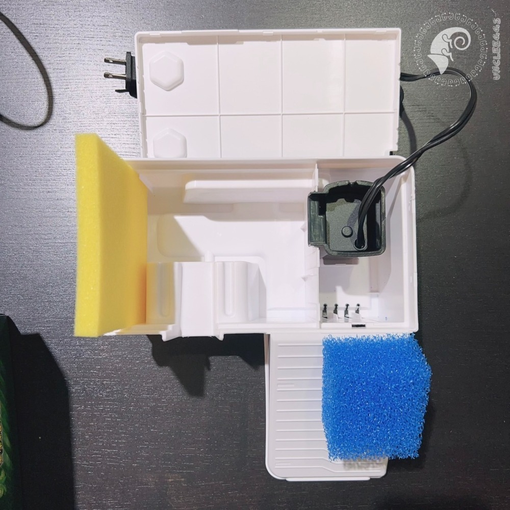 蛋叔叔-爬蟲先生-過濾式烏龜島/曬台/浮台/烏龜島/巴西龜/台灣龜/地圖龜/假鱷/麝香龜/巴西火龍/蠑螈/箱龜/鑽紋龜-細節圖6