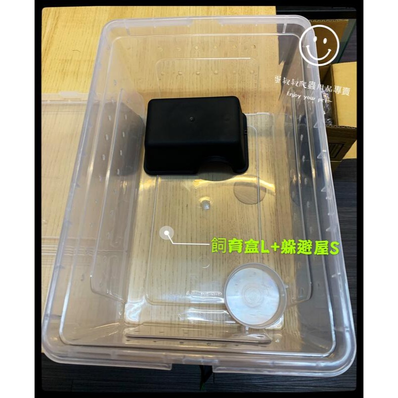 蛋叔叔-爬蟲躲避屋/守宮洞/守宮屋/洞穴/瘤尾/造景/蠍子/保濕/短雕/螯蝦/劍毒蛙/玉米蛇/劍毒蛙/螃蟹/幼蛇-細節圖4