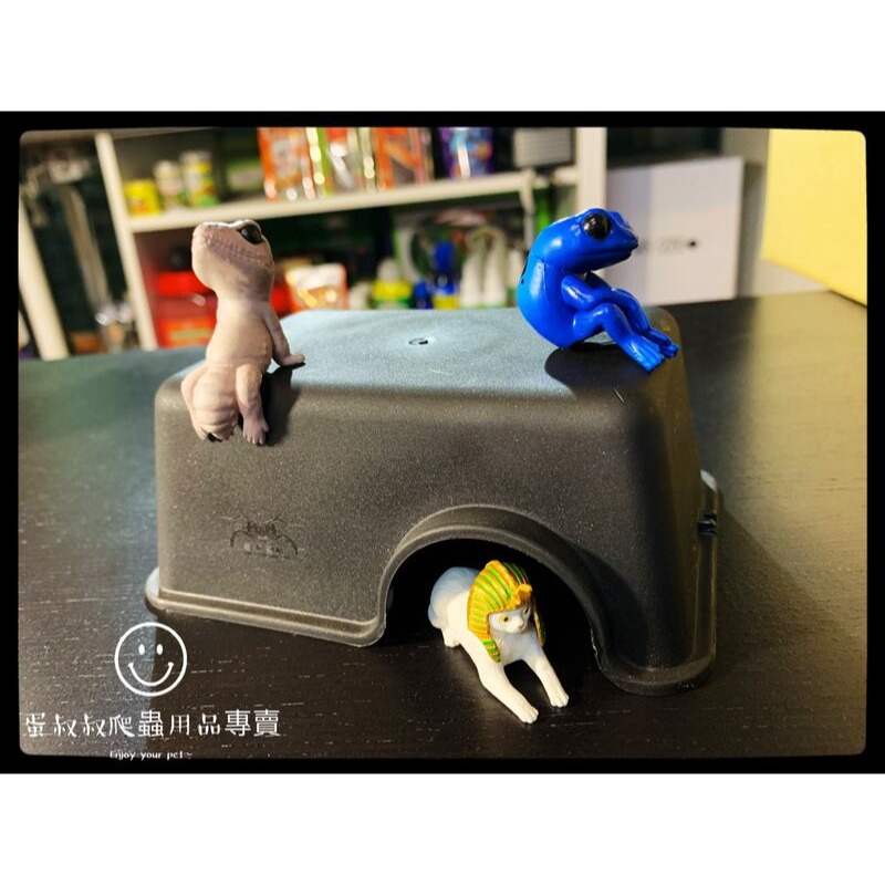 蛋叔叔-爬蟲躲避屋/守宮洞/守宮屋/洞穴/瘤尾/造景/蠍子/保濕/短雕/螯蝦/劍毒蛙/玉米蛇/劍毒蛙/螃蟹/幼蛇-細節圖5